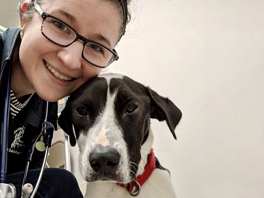 Second Chance Animal Services Impact