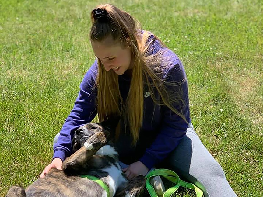 Kennebec Valley Humane Society (KVHS) Impact