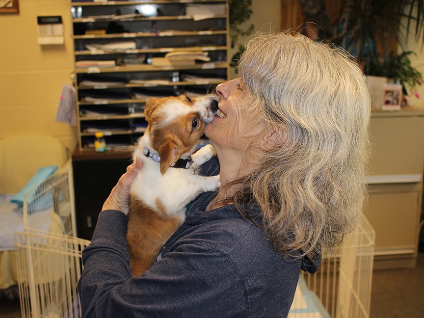 Berkshire Humane Society Impact