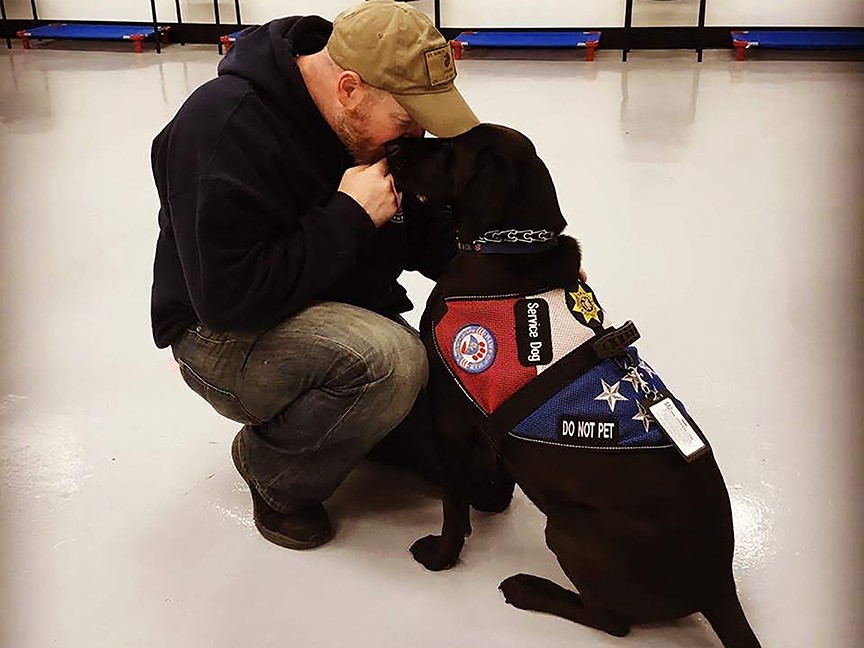 Paws of War Impact