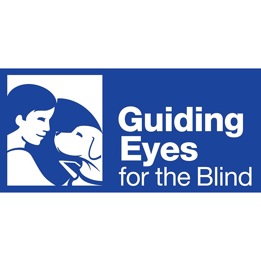 Guiding Eyes for the Blind