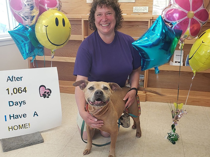 Potsdam Humane Society (PHS) Impact