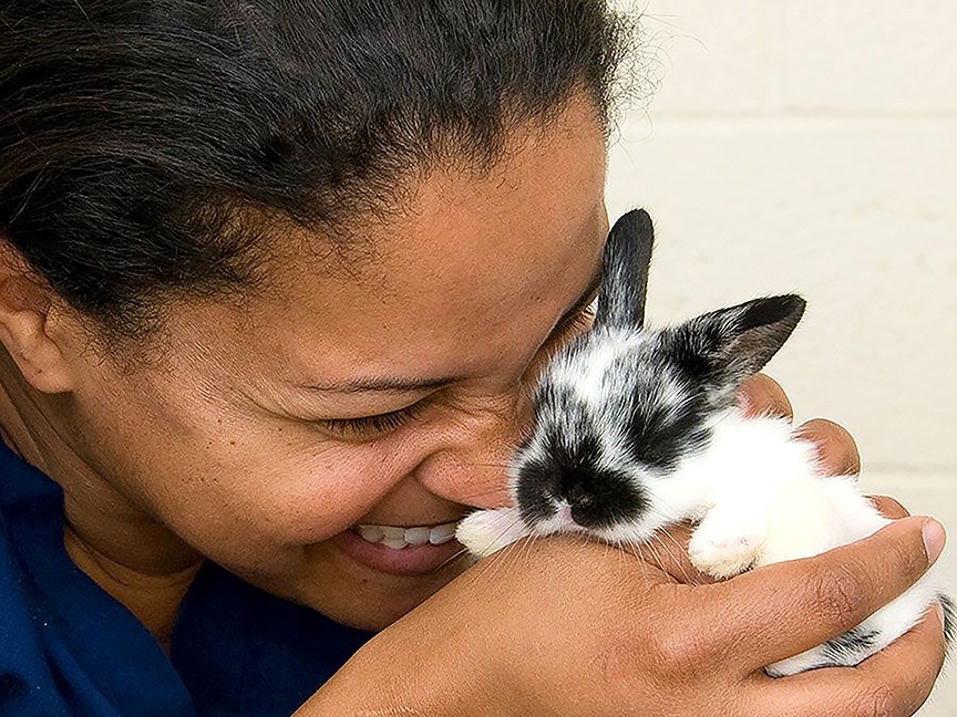 Humane Rescue Alliance Impact