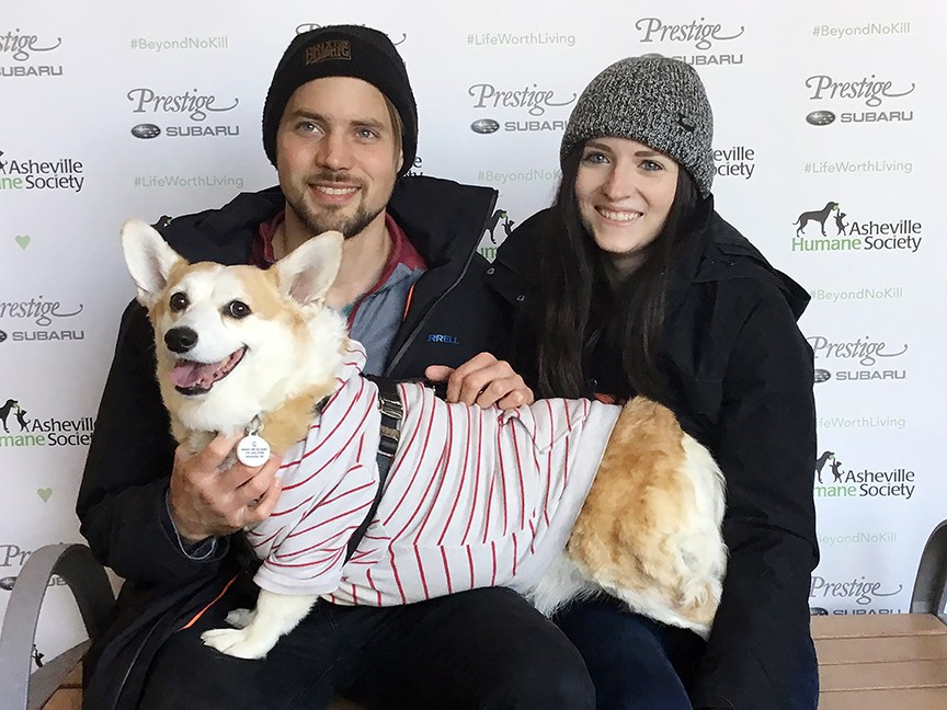 Asheville Humane Society Impact