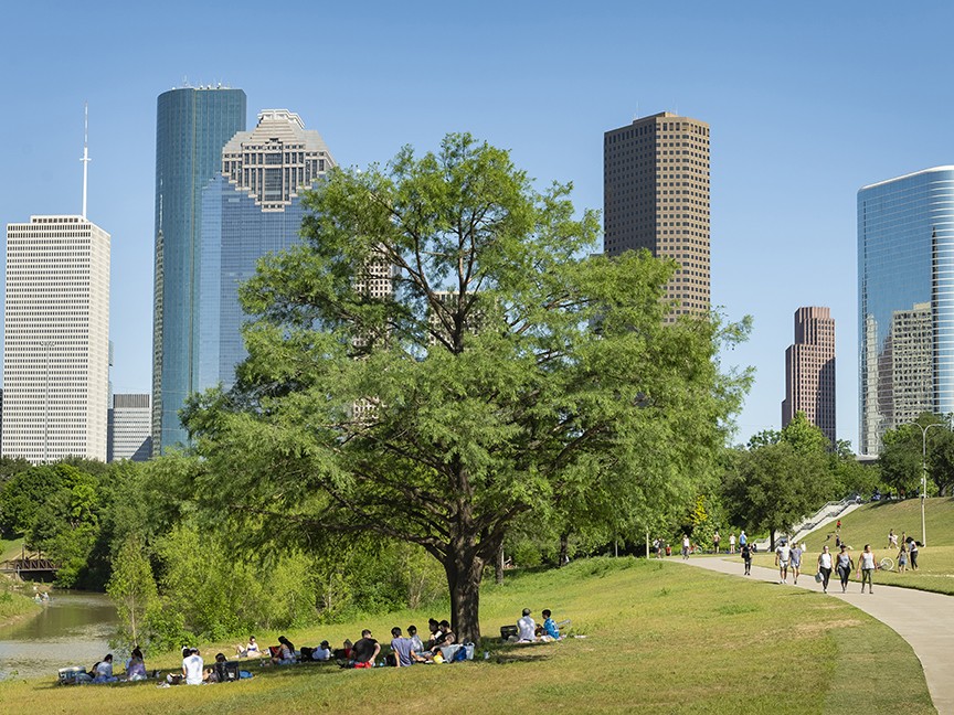 Buffalo Bayou Partnership Impact