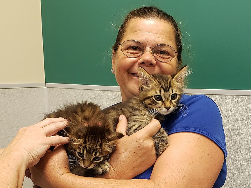 Citizens for Animal Protection Inc. Impact