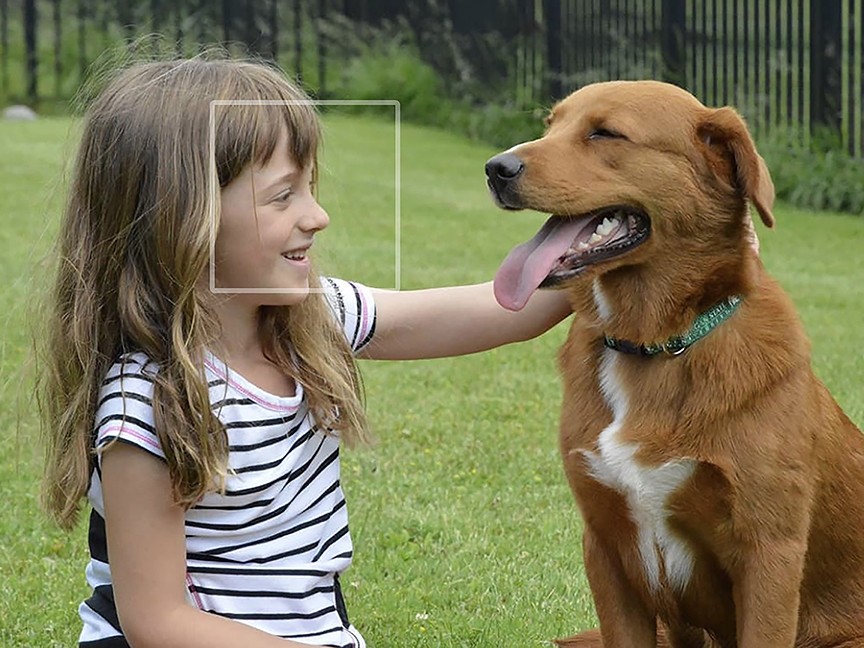 Little Traverse Bay Humane Society Impact