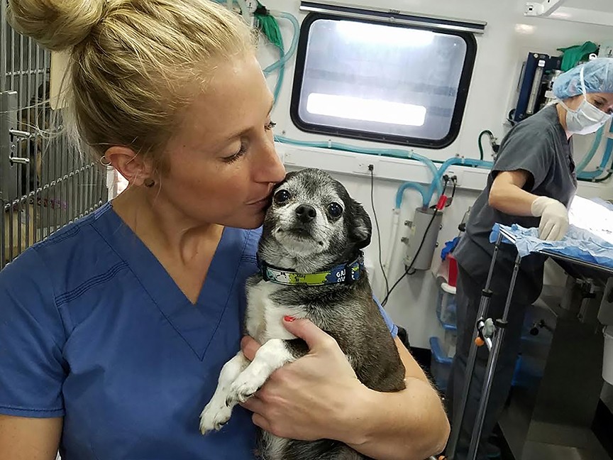 Columbus Dog Connection Impact