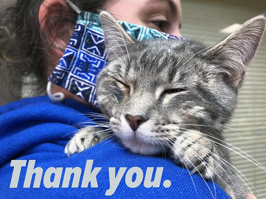 Cedar Bend Humane Society Impact