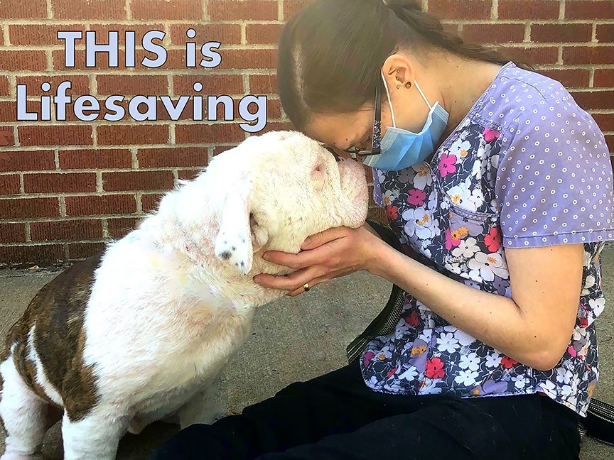 Oshkosh Area Humane Society Inc. Impact