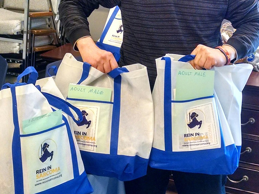 Rein in Sarcoma Foundation Impact