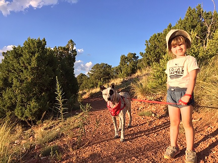 Santa Fe Animal Shelter and Humane Society Impact
