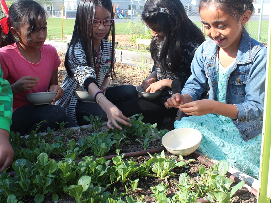 Wasatch Community Gardens (WCG) Impact