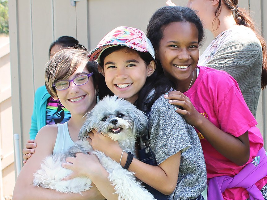 Rancho Coastal Humane Society (RCHS) Impact