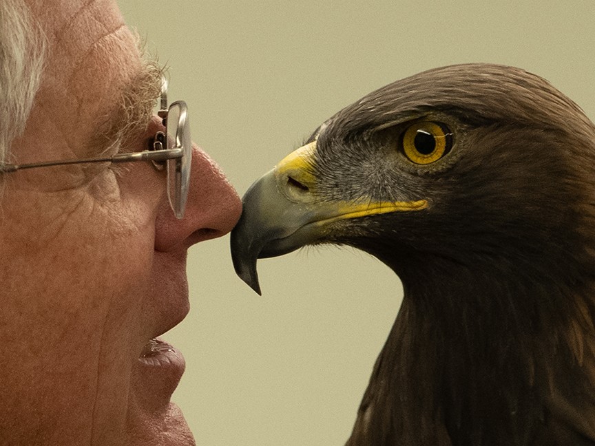 Southwest Wildlife Foundation of Utah Impact