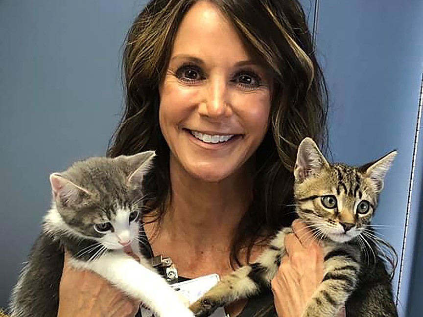 Placer SPCA Impact