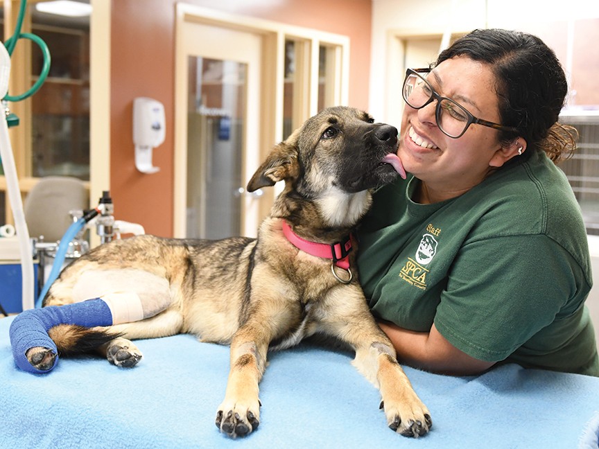 SPCA Monterey County Impact