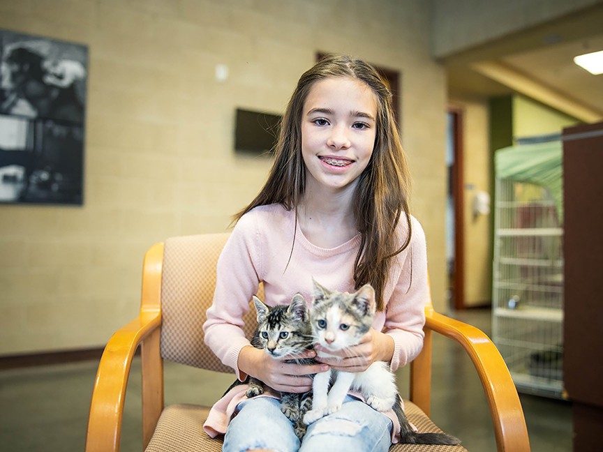 SPCA of Northern Nevada Impact