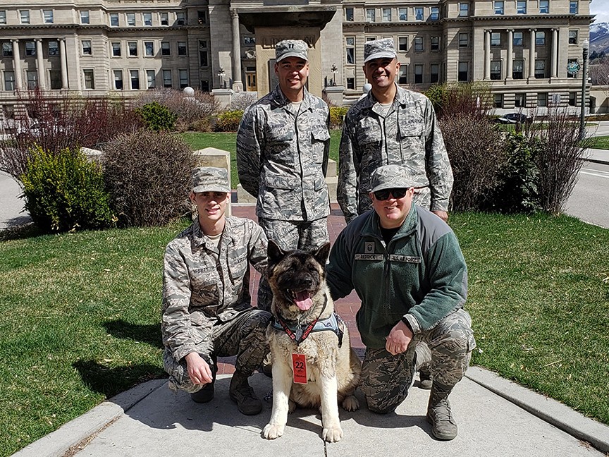 Guardian Paws Service Dogs Impact