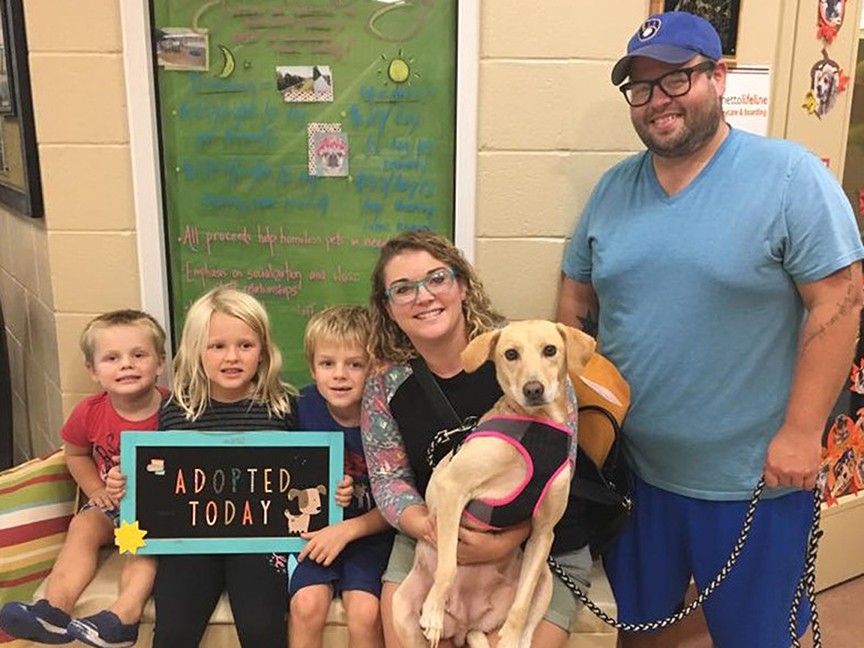 Pawmetto Lifeline Impact