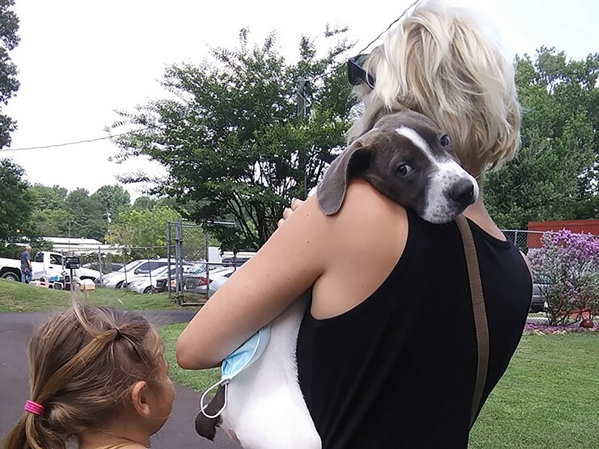 Pets Fur People Impact