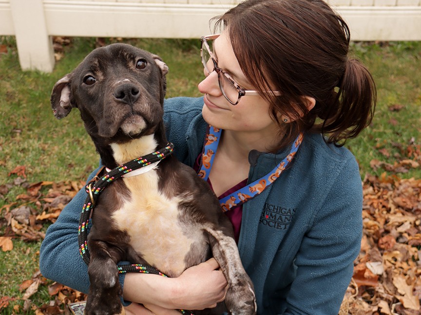 Michigan Humane Impact