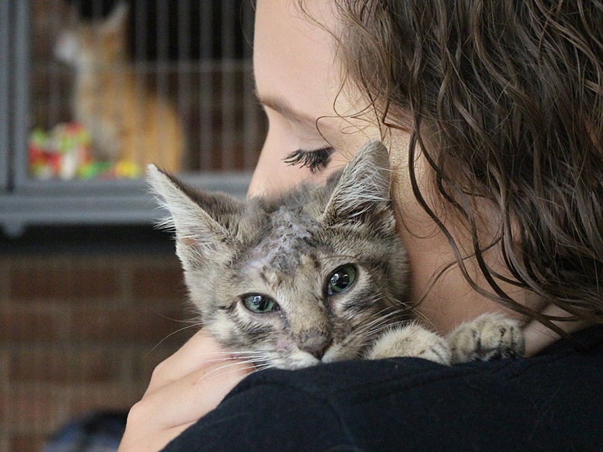Humane Society of Washington County Impact