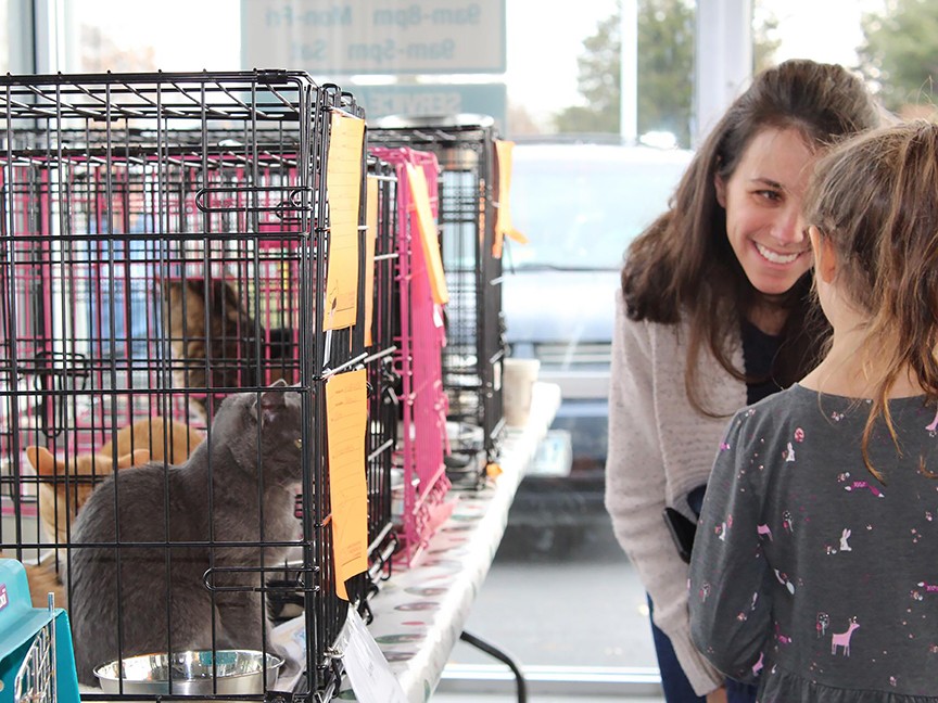 SPCA of Winchester, Frederick & Clarke Counties Impact