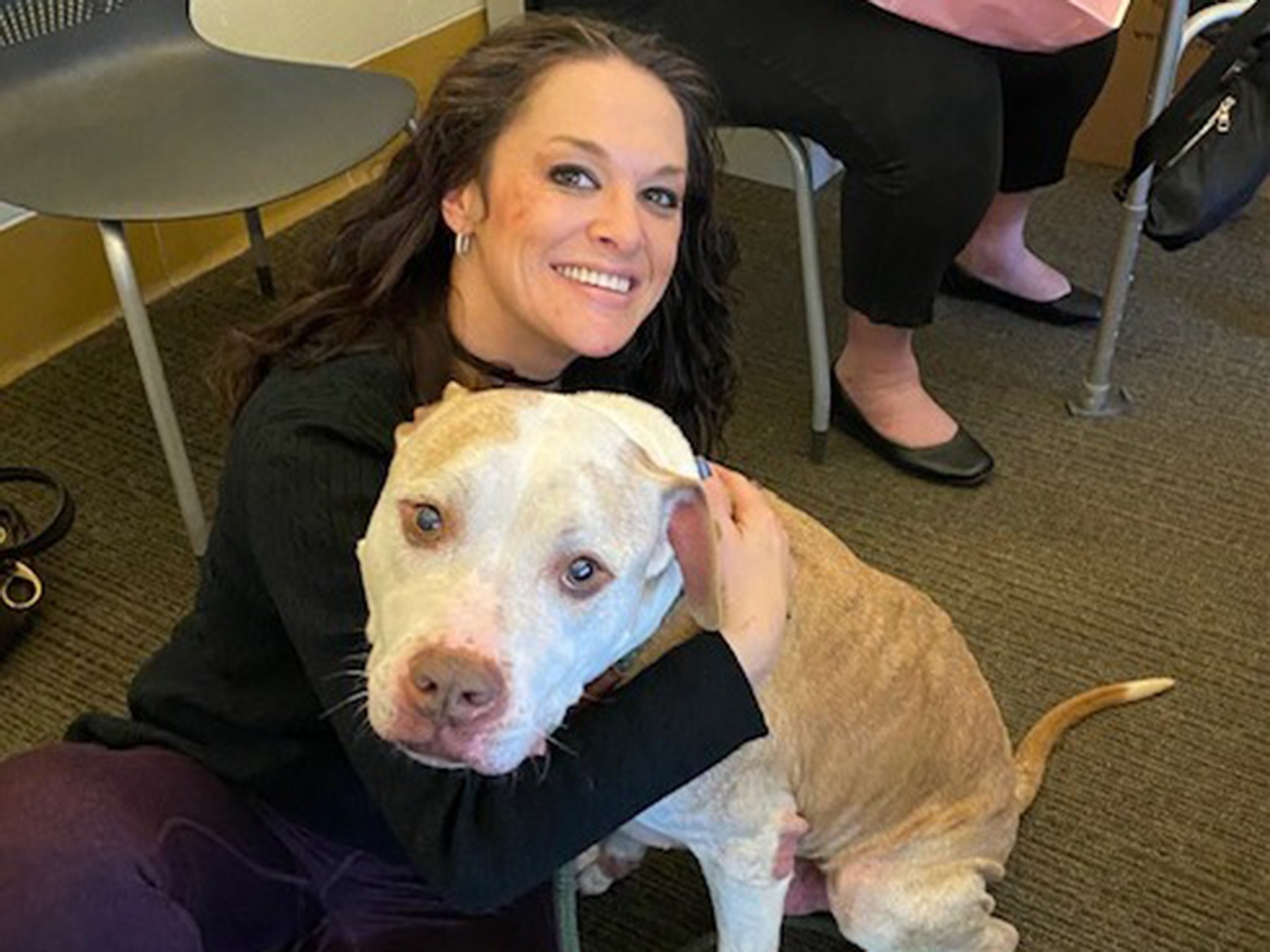 Sweet brown-eyed senior pup, Chunk, found his forever home! With Subaru's support, Women's Animal Center unites pets and people!