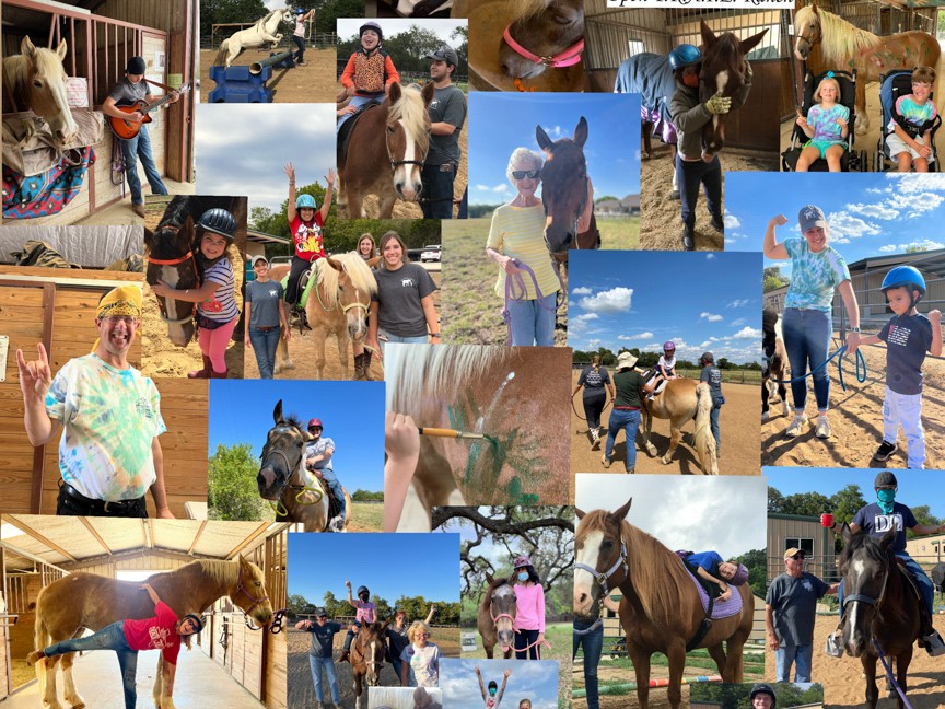 Therapeutic equine assisted services utilized to help those thrive in ways previously unimaginable. Impact