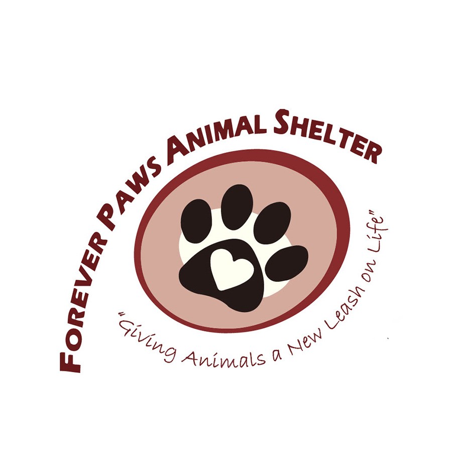 Thank you SO MUCH to Stateline Subaru in Somerset! They partnered with us in October to donate money for EVERY adoption we did that month! ...and it was a LOT of adoptions! We are so blessed to have their support!