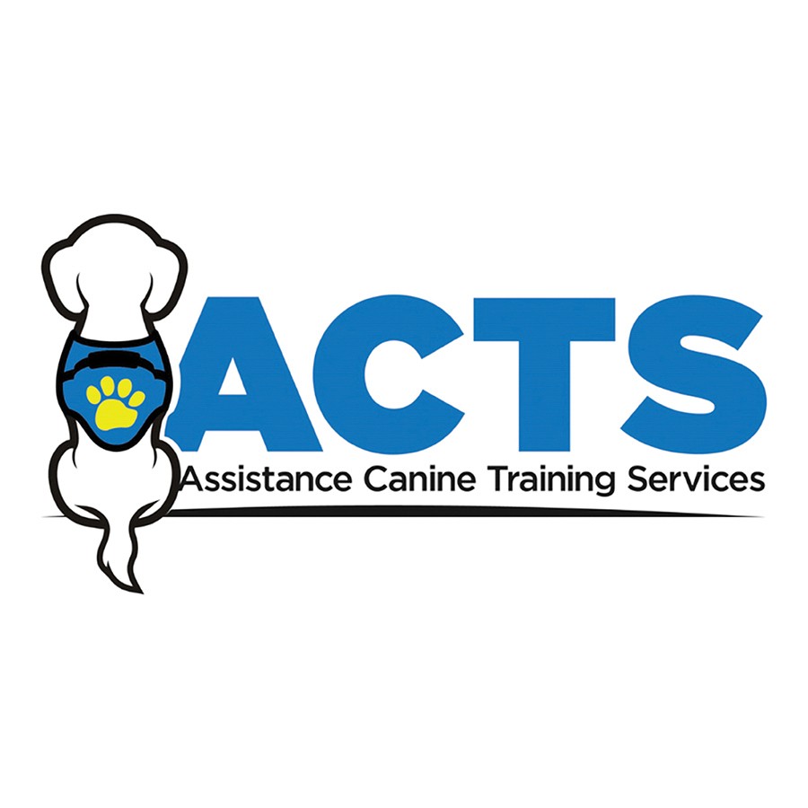 ACTS service dog in training, Jonesy, poses proudly in front of a festively decorated classic Subaru at the 2024 Subaru Share the Love Event. Sporting his blue training vest, Jonesy helps spread joy and awareness for the mission of ACTS.