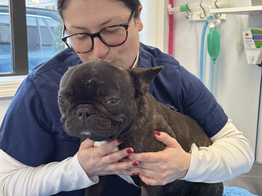 Second Chance staff member providing compassionate care to a pet. Impact