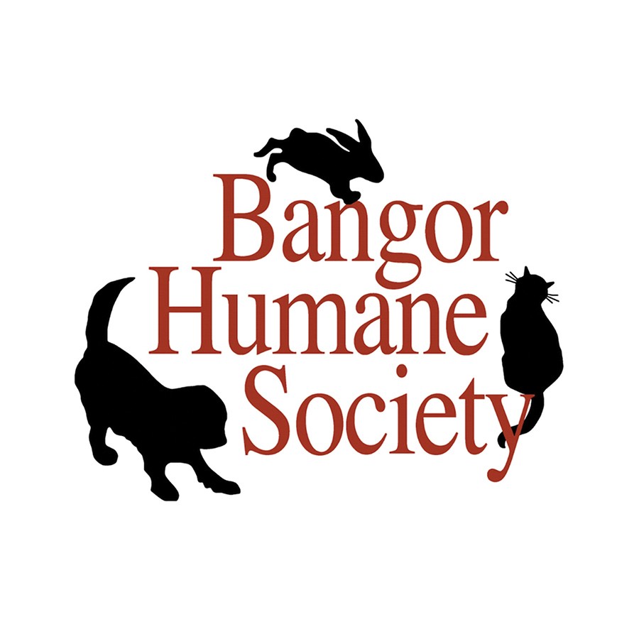 Representatives from Bangor Humane Society proudly accept a generous contribution from the Subaru Share the Love event, which will help our shelter steward more than 2,000 animals to new homes in 2025.