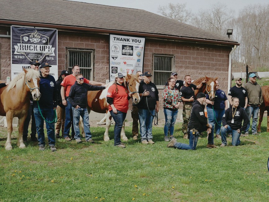 Veterans and active-duty heroes find healing through the quiet strength of their equine partners. Working with these noble horses, burdens feel lighter, and the journey towards peace becomes a shared path. Impact