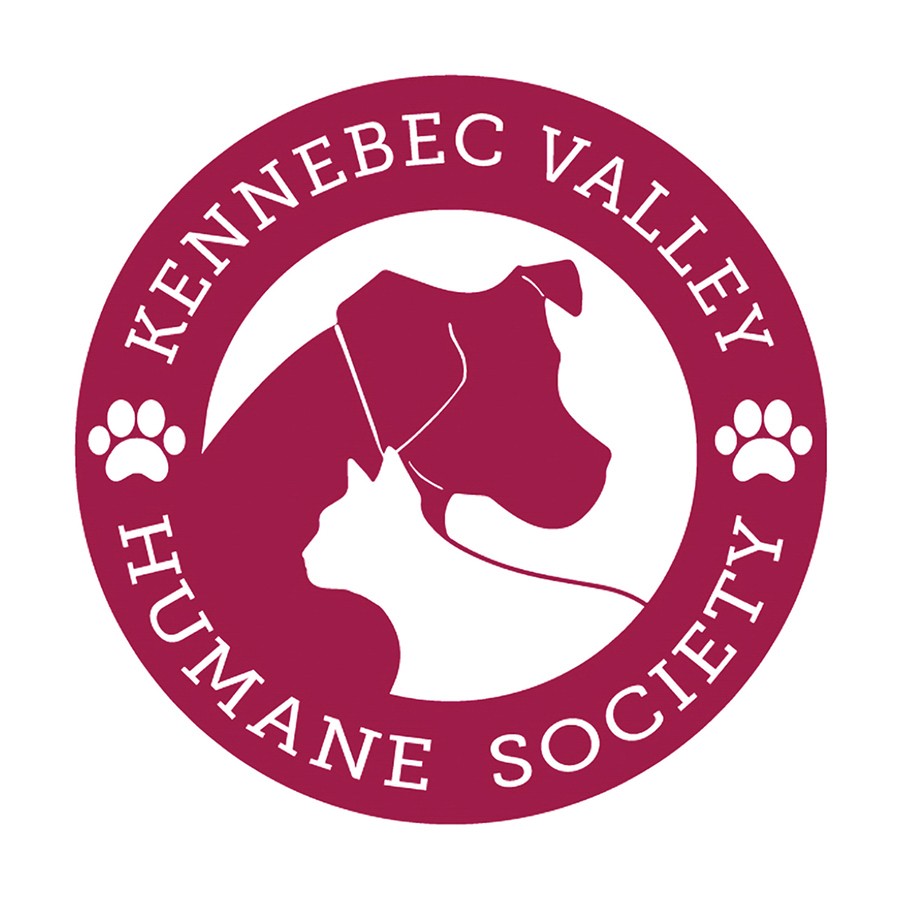 Two Subarus are better than one! Last year, Subaru joined us at the newly opened Nancy Shuman Animal Shelter to host our annual fundraising event for the first time. We celebrated with an adoption event and shared gifts with all our shelter guests.