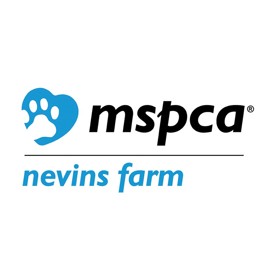 Special thanks to David Melkonian and North Reading Subaru for their generous donation to MSPCA at Nevins Farm Animal Care & Adoption Center through Subaru's Share The Love program.