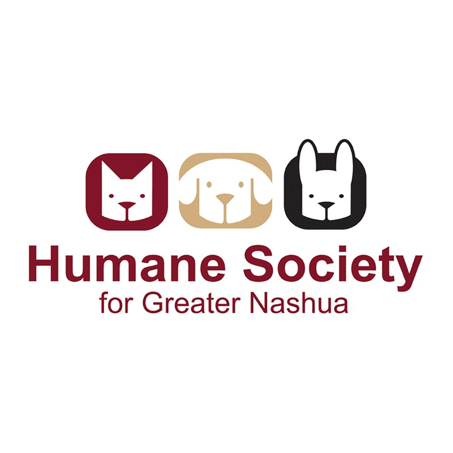 The Humane Society for Greater Nashua and Amherst Subaru teams during the Share the Love 2024 check presentation.