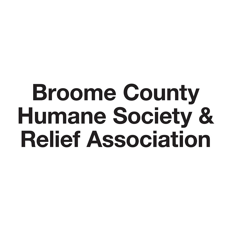 We had a great turnout from our community taking advantage of the Vaccination Clinic sponsored by Matthews Subaru.