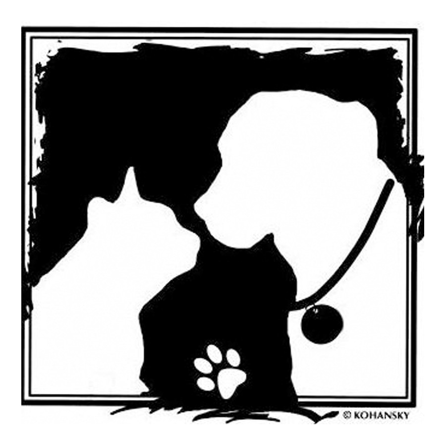 Domehead, an adoptable dog from Associated Humane Society, with an RK Subaru staff member and RK donations at our shelter.