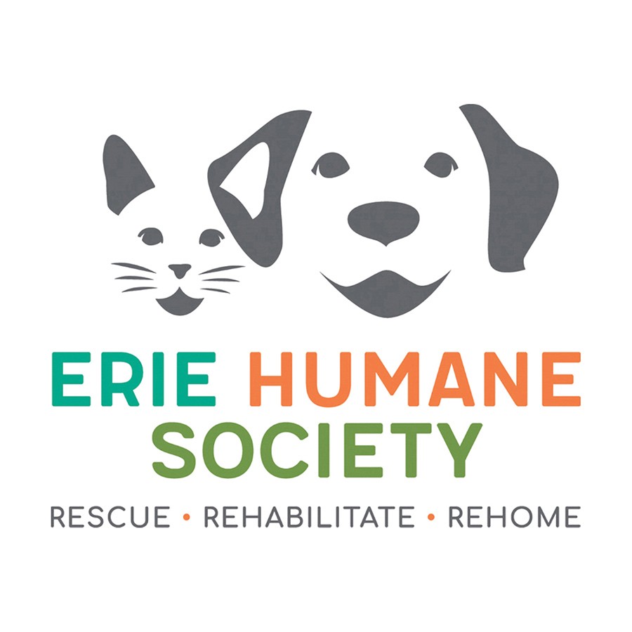 During Subaru Loves Pets, the Erie Humane Society collaborated with New Motors Subaru to feature our "underdogs" and tell their stories of rescue and rehabilitation as we worked to promote them for adoption.