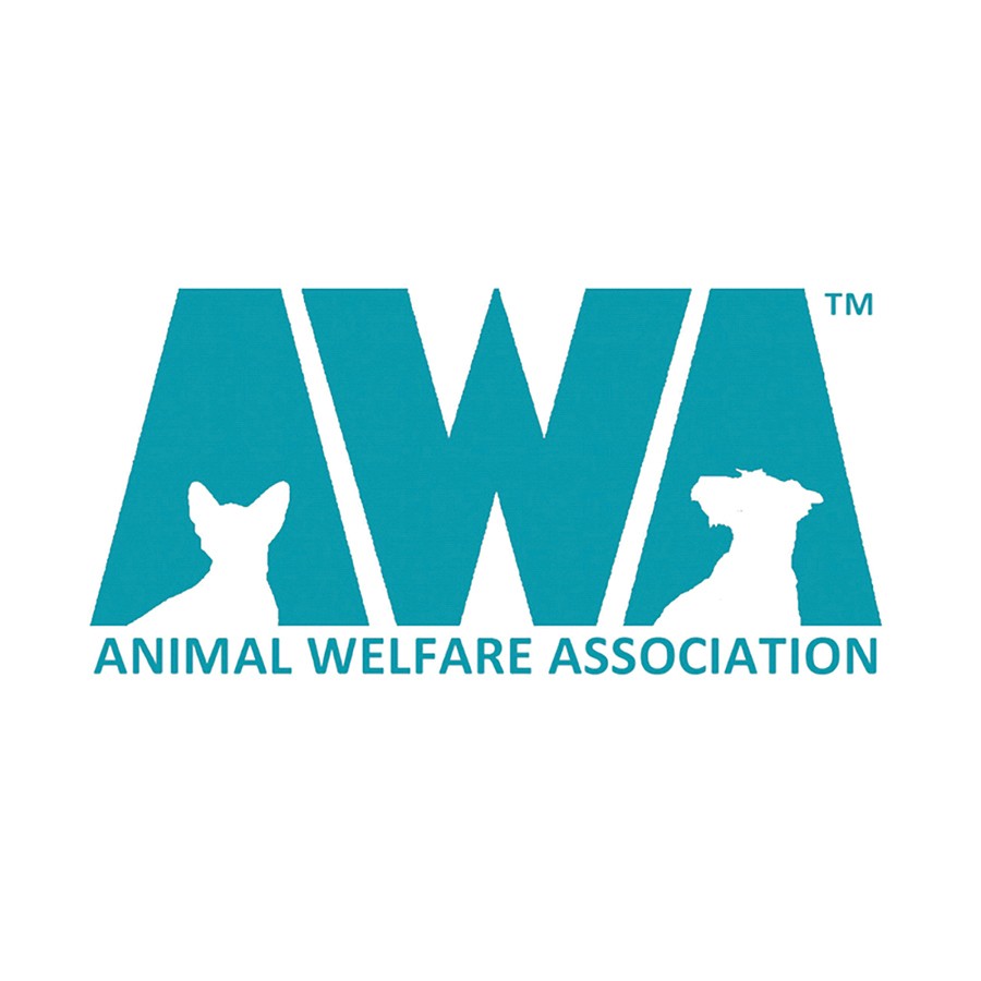 Melissa Miller of Miller Subaru welcoming Croissant, an AWA cat available for adoption to Miller Subaru. Miller Subaru fostered Croissant during the month of October and coordinated with AWA for his adoption.