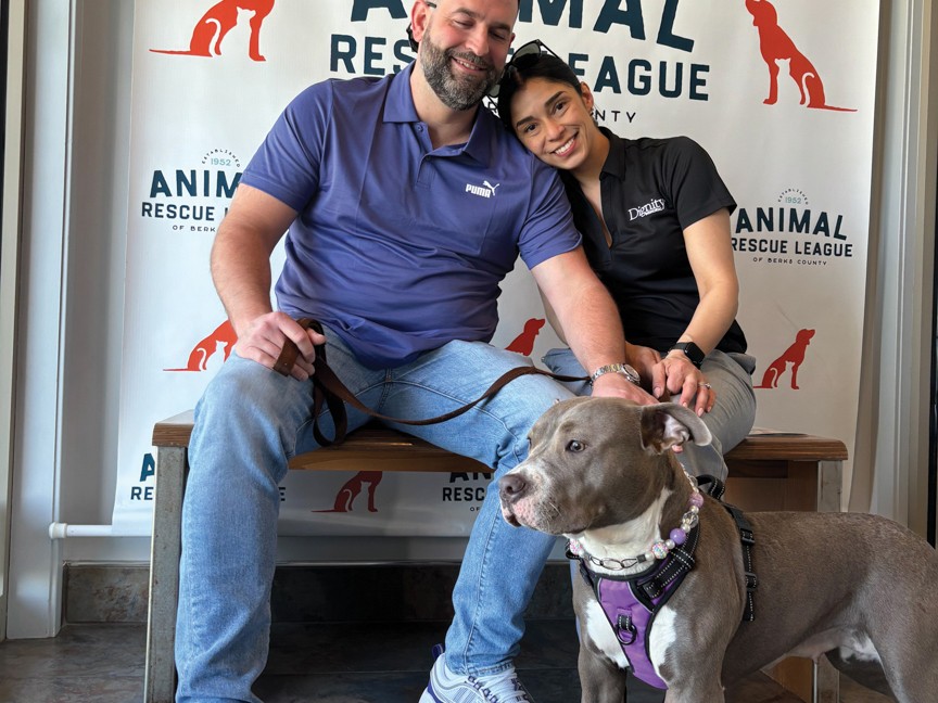 Athena was a long-term resident who was brought to us after falling from a balcony and breaking her front two legs. Through surgery, recovery, and learning to be a dog again, we're happy to say she's been adopted and thriving in her home. Impact