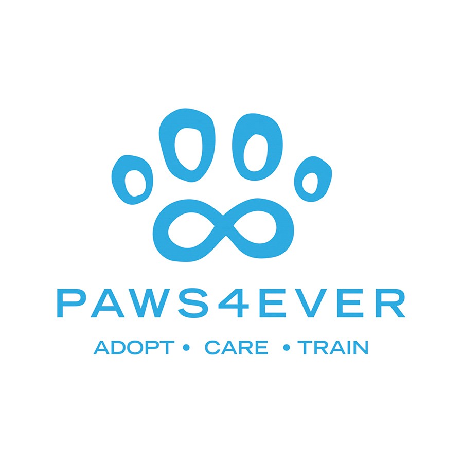 Paws4ever was thrilled to be the recipient of a Share the Love donation from Hendrick Subaru Southpoint for the 9th year in a row. Executive Director Whitney Zoghby brought adoptable dog Ollie to say thank you to Hendrick Subaru staff.