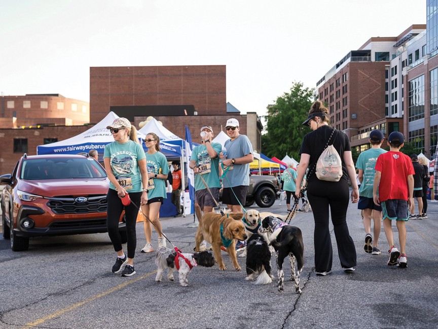Each year, Fairway Subaru is a faithful sponsor of the Greenville Humane Society's Mutt Strut, where over 2,000 people and 1,500 dogs gather to raise funds and awareness for homeless pets. Impact