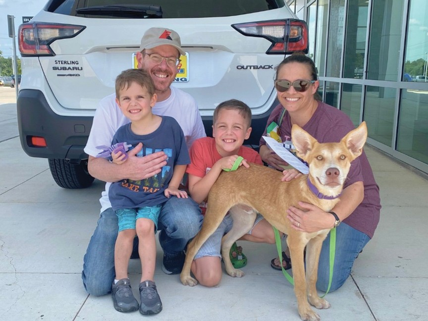 Hank the Cowdog got his dream family, thanks to Sterling Subaru! Impact