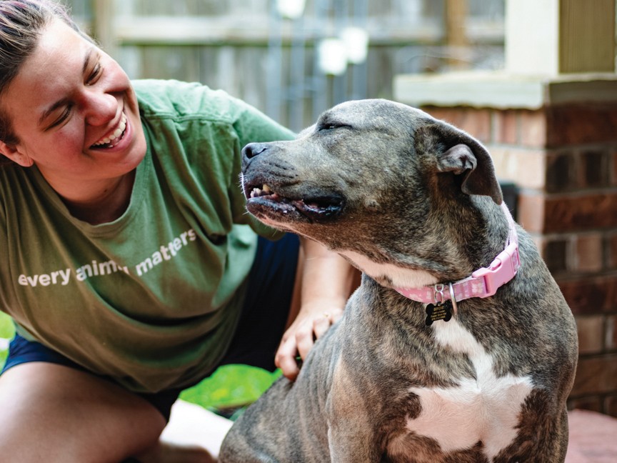 Birdie the dog relaxing with a Friends For Life staff member after she had been rescued. Impact