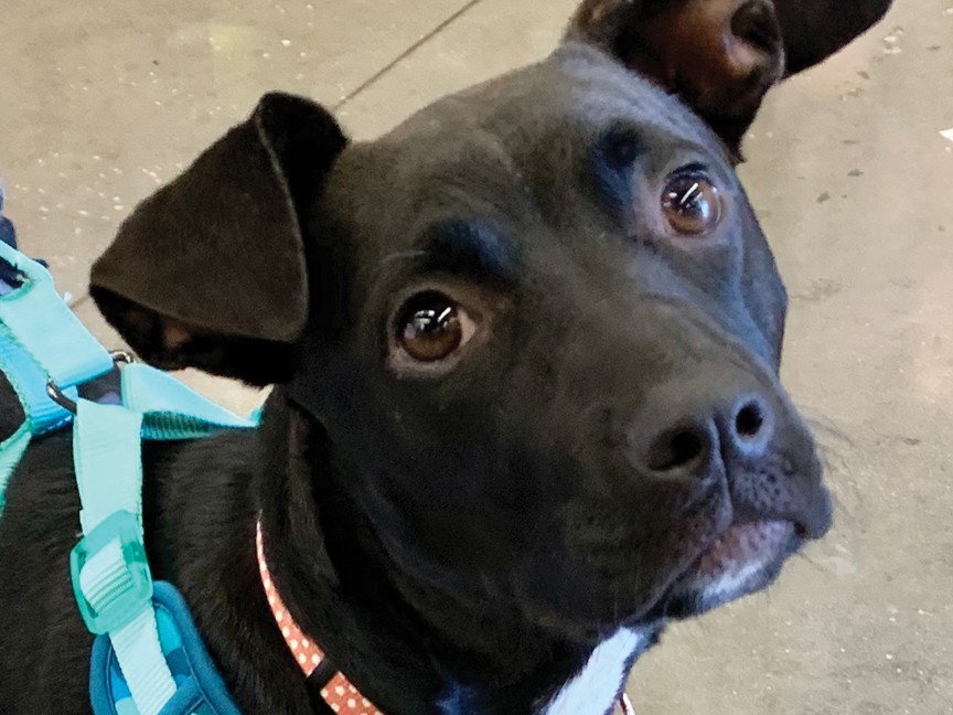 Share the Love has allowed MWSF to help combat wounded veterans 'get back on the road' - successfully transitioning to civilian life. Impact