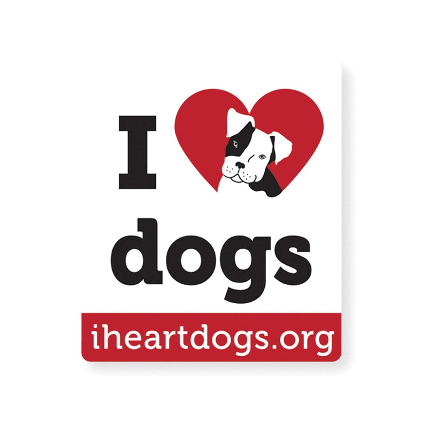 Hodges Subaru hosted a festive Trunk or Treat adoption event for Subaru Loves Pets. Kids trunk or treated while adoptable dogs mingled with the public. Volunteers and pups enjoyed a fun fall day, making it a successful and heartwarming event.