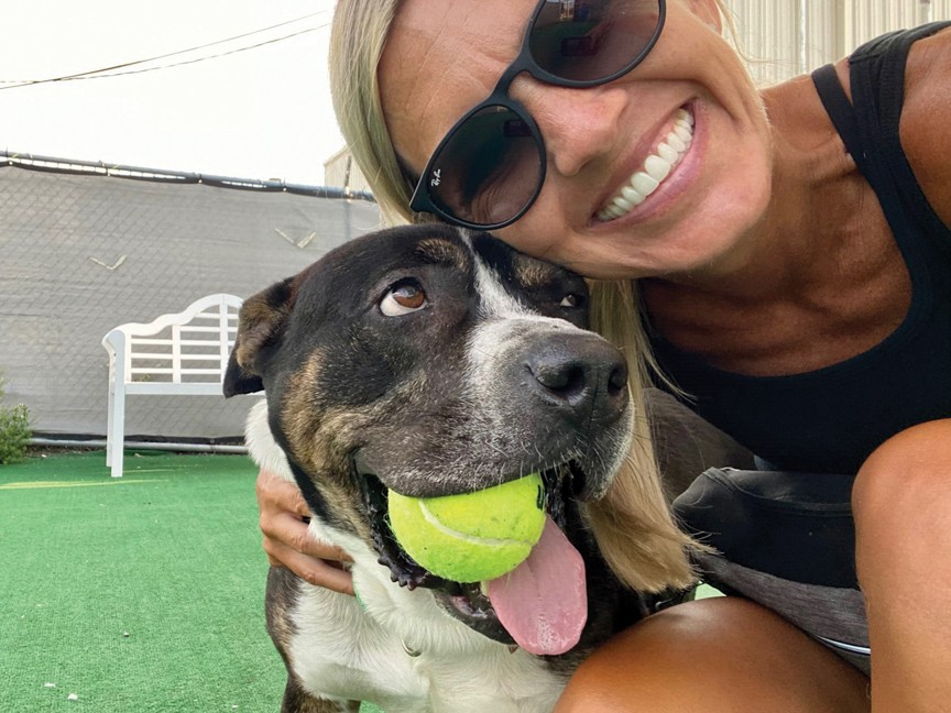 Subaru's support helped us save Stella, a sweet cat abandoned in a GM plant. Terrified and shut down, she's now safe, healing, and learning to trust again. Thanks to Subaru, pets like Stella get the care and love they need to recover and thrive. Impact